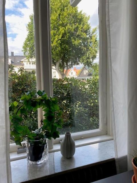 In A Unique House Homestay
